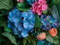 Vibrant Assortment of Blue Flowers, Pink Blossoms, and Peach Roses Amidst Lush Green Leaves Royalty Free Stock Photo