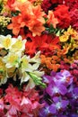 Vibrant Display of Various Fresh Flowers at a Springtime Floral Market Royalty Free Stock Photo
