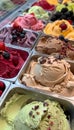 Vibrant assortment of fruity gelato flavors arranged in an enticing and visually appealing display