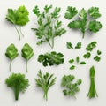 A vibrant assortment of green leafy vegetables on a clean white background