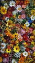 Vibrant assortment of various flowers