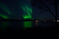 Vibrant aurora borealis over fjord and mountain refleting in sea