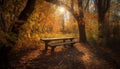 Vibrant autumn colors adorn tranquil forest bench generated by AI Royalty Free Stock Photo