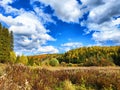 Vibrant Autumn Colors Blanketing a Forested Hillside Under a Dynamic Blue Sky Royalty Free Stock Photo