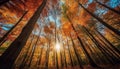 Vibrant autumn colors illuminate tranquil forest, a nature masterpiece generated by AI