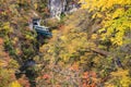 Vibrant autumn colors at Naruko Gorge valley with train crossing the iron bridge cover with autumn leaves in valley, Japan Royalty Free Stock Photo