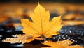 Vibrant autumn colors reflect the beauty of nature maple trees generated by AI