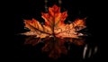 Vibrant autumn colors showcase nature beauty in a maple leaf generated by AI Royalty Free Stock Photo