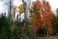 Vibrant autumn colors Upper Michigan Royalty Free Stock Photo