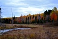 Vibrant autumn colors in Upper Michigan with prairie and small creek Royalty Free Stock Photo