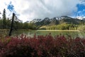 vibrant autumn foliage and snow capped mountains surround Jenny lake during fall season. Royalty Free Stock Photo