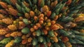 The vibrant autumn forest showcasing a colorful array of trees from above. AI generated image Royalty Free Stock Photo