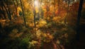 Vibrant autumn forest, tranquil sunrise, multi colored leaves, natural beauty generated by AI Royalty Free Stock Photo