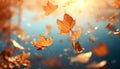 Vibrant autumn forest, yellow leaves falling, nature colorful masterpiece generated by AI Royalty Free Stock Photo