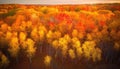 Vibrant autumn landscape multi colored trees, yellow leaves, tranquil meadow generated by AI Royalty Free Stock Photo