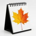 Autumn leaf on a desk calendar Royalty Free Stock Photo