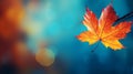 Vibrant Autumn Leaf: High-Resolution Nature Photography for Seasonal Bliss and Colorful Fall Background. Royalty Free Stock Photo
