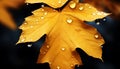 Vibrant autumn leaf reflects beauty of nature wet freshness generated by AI Royalty Free Stock Photo