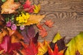 Vibrant autumn leaves with clover and tansy arranged in a boarder Royalty Free Stock Photo