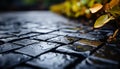 Vibrant autumn leaves create a colorful pattern on wet sidewalk generated by AI Royalty Free Stock Photo