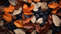 Vibrant Autumn Leaves On Dark Background - Organic Material Composition