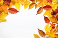 A vibrant autumn leaves forming a frame with ample space for customizable text or copy in the center. Generative Ai