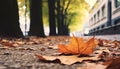 Vibrant autumn leaves paint the forest floor gold generated by AI Royalty Free Stock Photo