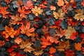 Vibrant Autumn Leaves and Pine Cones Background Texture, Seasonal Fall Foliage Wallpaper, Nature Pattern Royalty Free Stock Photo