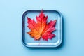 Vibrant Autumn Maple Leaf Centered on a Minimalist Blue Tray Background Seasonal Fall Concept Royalty Free Stock Photo