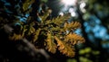 Vibrant autumn maple tree branch, back lit with yellow sunlight generated by AI