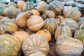 Vibrant autumnal display featuring a variety of pumpkins stacked on a farm field Royalty Free Stock Photo