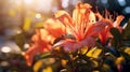 Vibrant Azalea: Hyperrealistic Hd Photography Of Exotic Flora In Autumn Colors