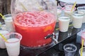 A vibrant batch of lemonade served beside decorated cups. Reflects the popularity of visually appealing, Instagrammable Royalty Free Stock Photo