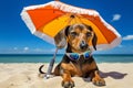 Vibrant beach scene. adorable dog lounging in sunglasses under colorful beach umbrella