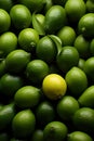 vibrant beauty of fresh green limes captured in a close-up shot.