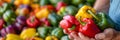 Vibrant bell peppers held in hand, assorted fresh peppers on blurred background with copy space Royalty Free Stock Photo