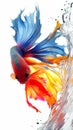 A vibrant betta fish with a dynamic splash, isolated on a white background.