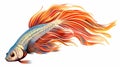 Vibrant Betta Fish Illustration With Detailed Feather Rendering