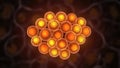 Vibrant biological cells cluster glowing with inner light science microscopic view Royalty Free Stock Photo