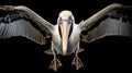 Vibrant Bioluminescent Pelican A Hyper-detailed Rendering