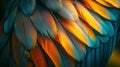 Vibrant Bird Feathers Close-up