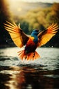 Vibrant Bird in Flight over Tranquil Waters