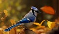 A vibrant bird perching on a branch in the autumn forest generated by AI