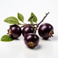 Vibrant Black Fruits On Branch - Aurorapunk Heistcore Art