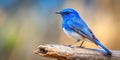 Vibrant blue bird perched on weathered wood branch. Generative AI Royalty Free Stock Photo