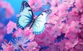 Mesmerizing Blue Butterfly: A Stunning Sight Among Vibrant Flowers On A Blue Background