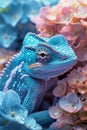 Vibrant Blue Chameleon Camouflaging Amongst Vivid Pink and Blue Hydrangea Flowers Wildlife Close Up Photography Royalty Free Stock Photo