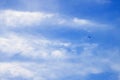 Vibrant blue cloudy sky with faraway flying jet plane