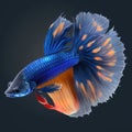 Vibrant Blue Fire Fins of a Happy Guppy Fish. Perfect for Aquarium Websites and Blogs.