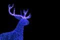 Blue Illuminated Christmas Reindeer Shaped Outdoor Decoration Lights on Dark Background Royalty Free Stock Photo